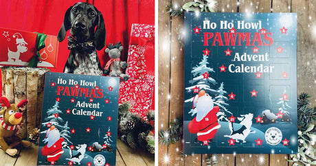 Dog Advent Calendar