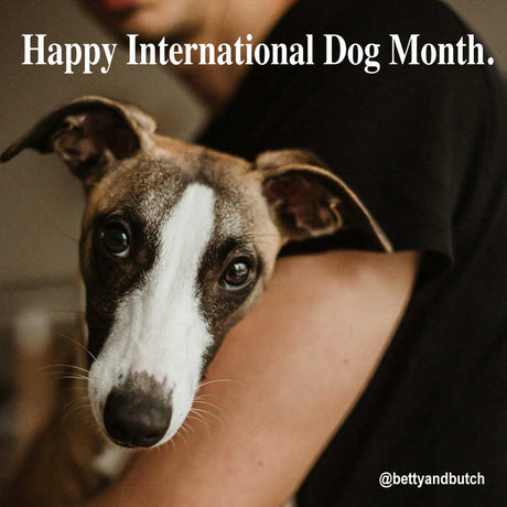 Celebrating International Dog Month at Betty & Butch!