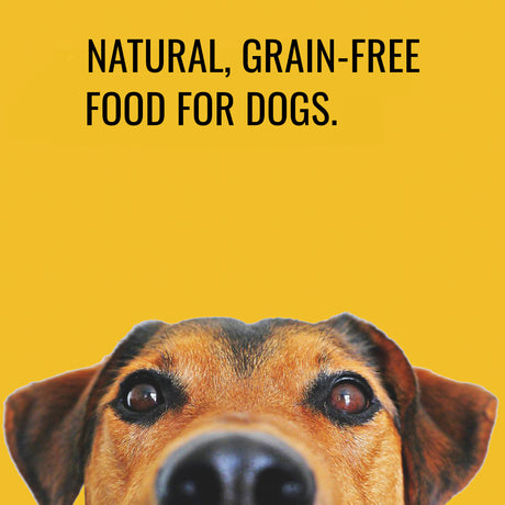 Small Breed Kibble Dog Food 🐶 Natural, Grain-free and Healthy Dry Food for Small Dogs