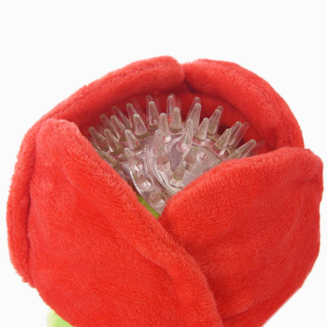 Rose Ball Dog Toy