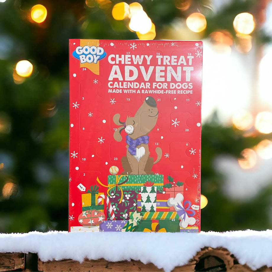 Advent calendar for dogs best sale