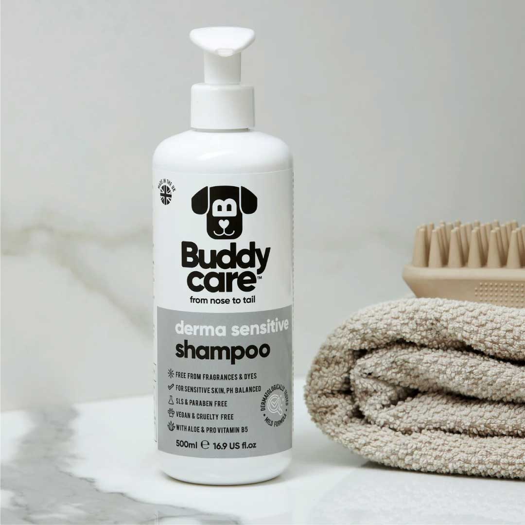 Derma Sensitive Dog Shampoo - BuddyCare