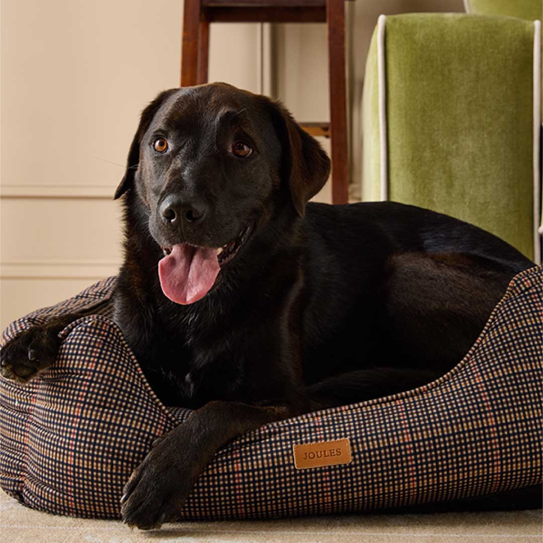 Joules - Henson Check Box Dog Bed