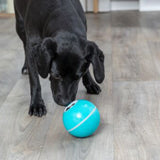 Interactive Treat Ball For Puppies & Dogs