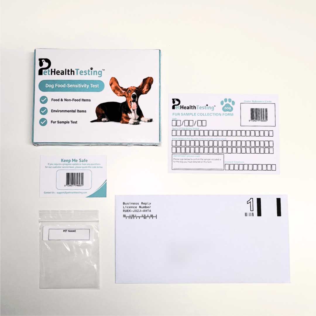 dog food sensitivity testing kit