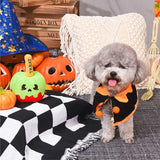 Trick Or Treat Candy Plush Dog Toy 🎃