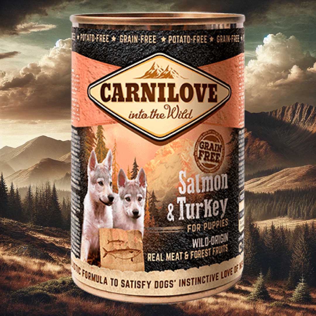 CARNILOVE Salmon & Turkey Puppy Wet Food 400g