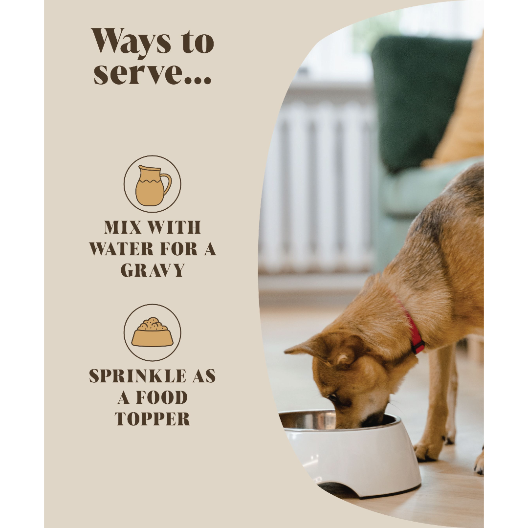 A happy dog enjoying a bowl of rehydrated chicken bone broth, emphasizing its joint and gut health benefits.