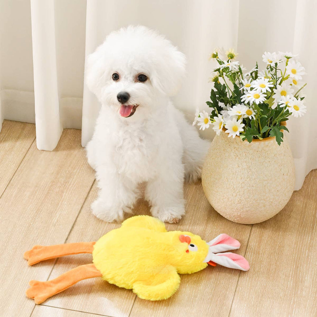 chicken dog toy