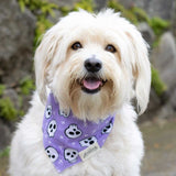 Skulls Dog Bandana