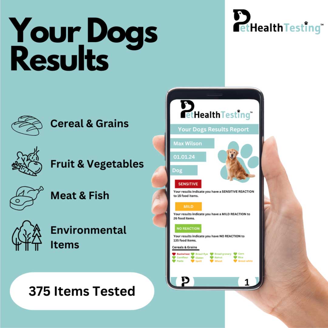 dog allergy testing kit UK