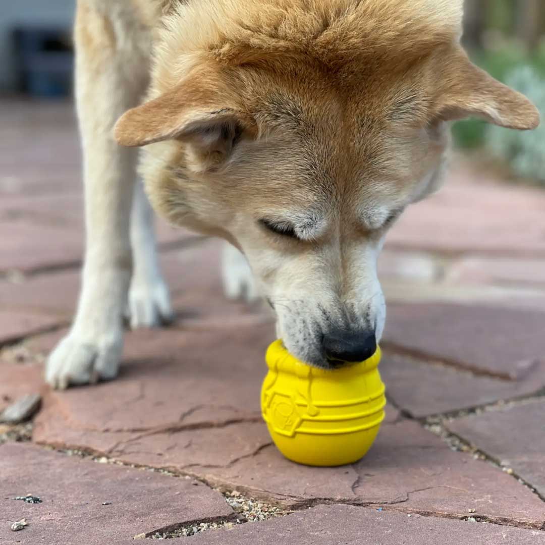 Large Honey Pot Durable Rubber Treat Dispenser & Enrichment