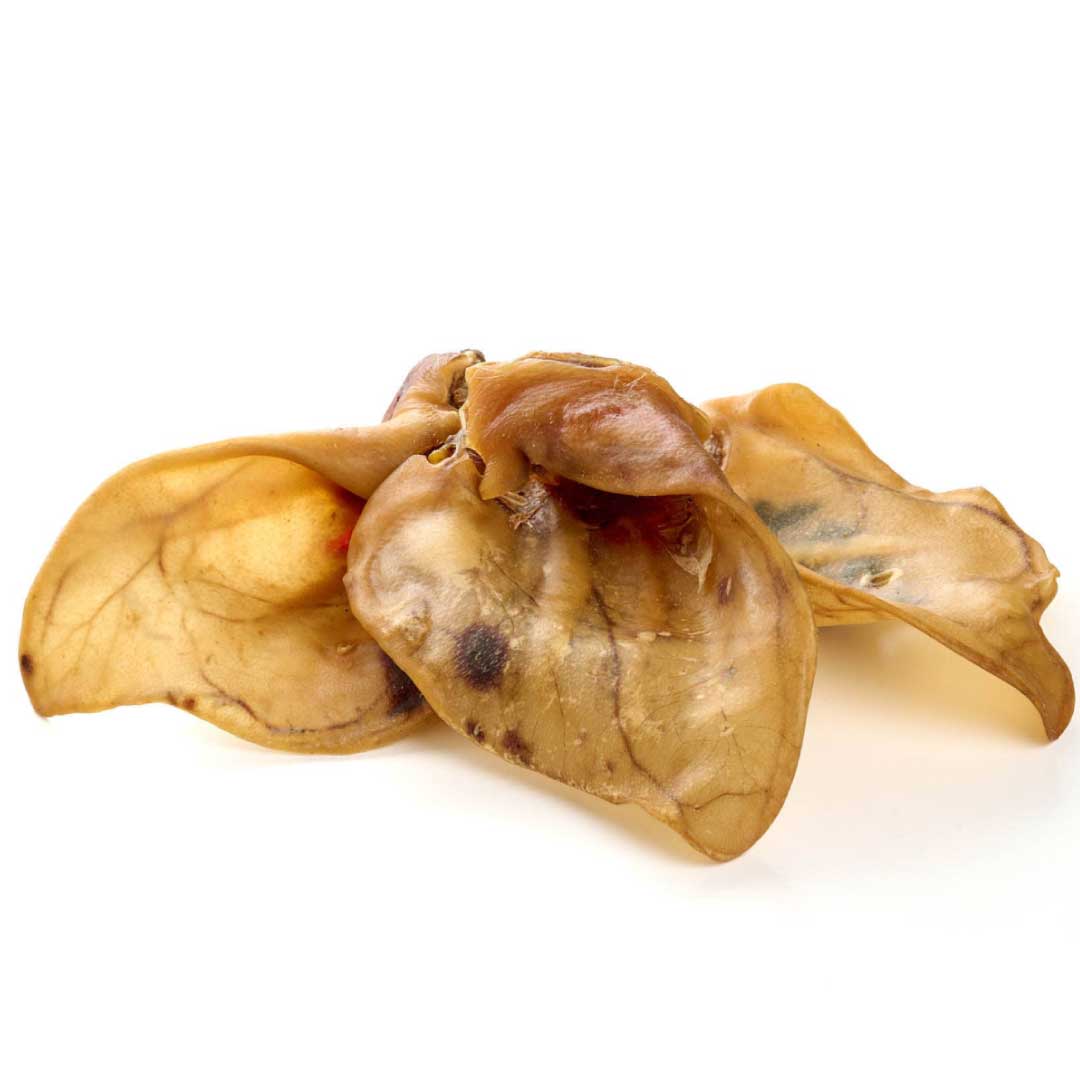 Natural extra-large pig ear dog treats, hard texture, perfect for rewarding your dog.