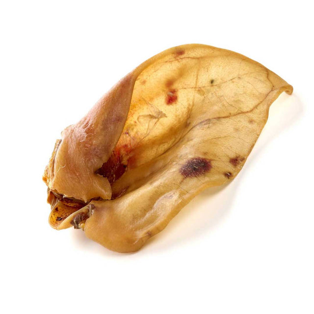 Extra-large pig ear dog chews, natural and preservative-free, high in protein.