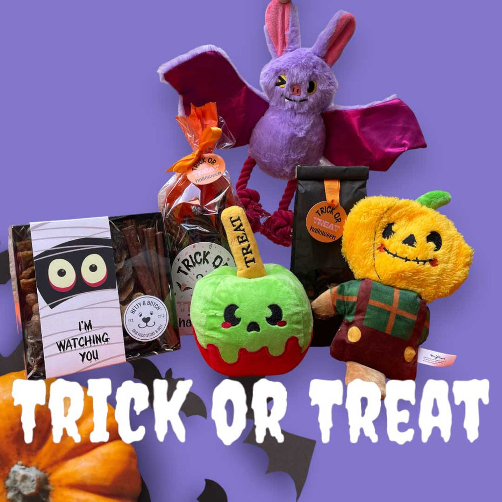 halloween dog treats, gifts and toys