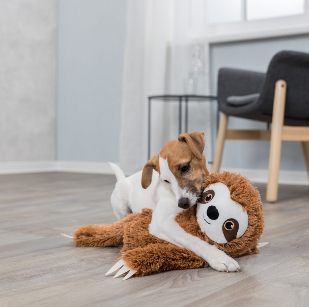 sloth soft dog toy