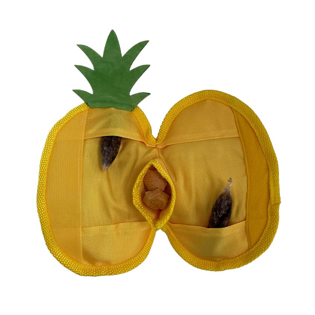 Fun Interactive Pineapple Dog Toy