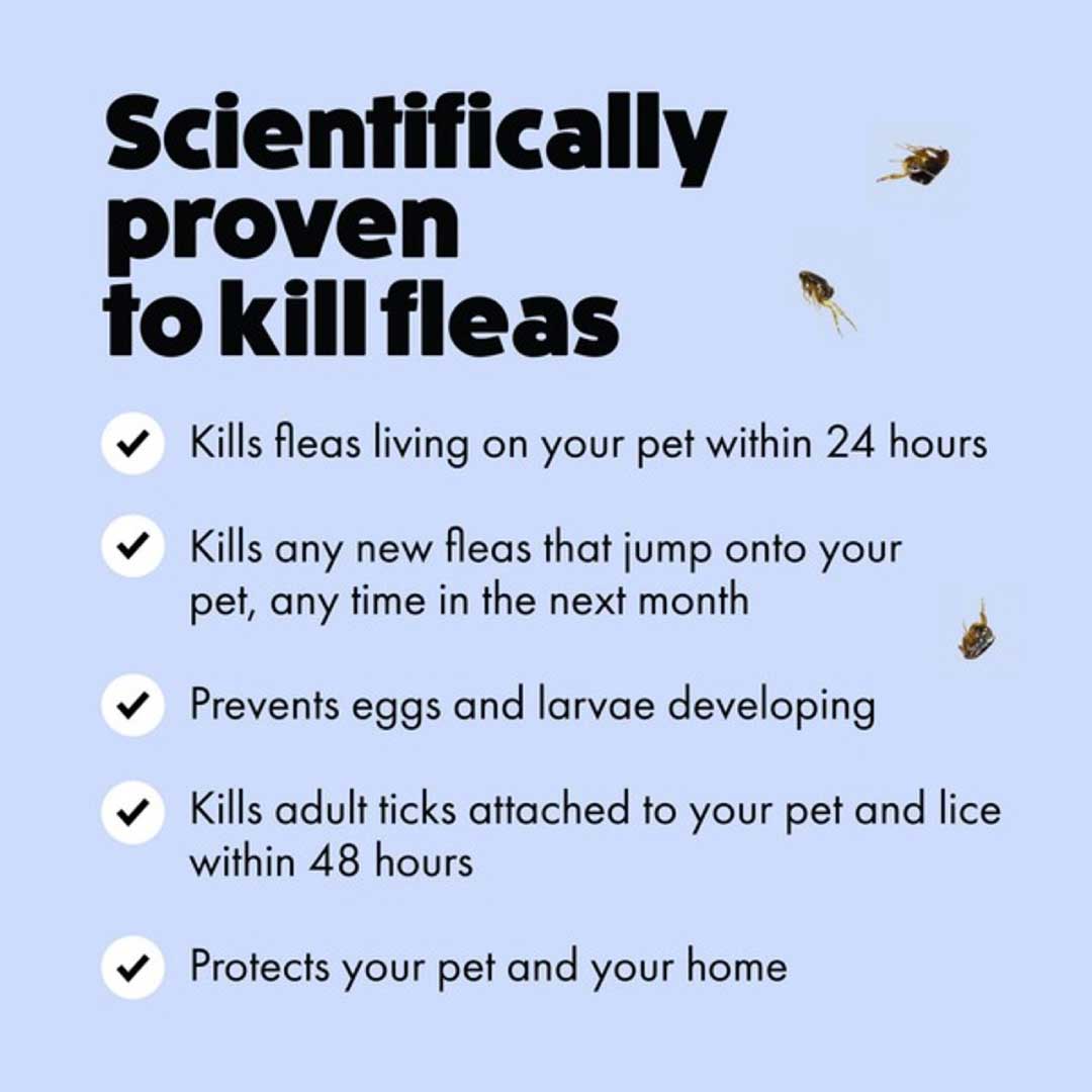 Itch Flea Spot On for Small Dogs 2 to 10kg 3 Pipettes