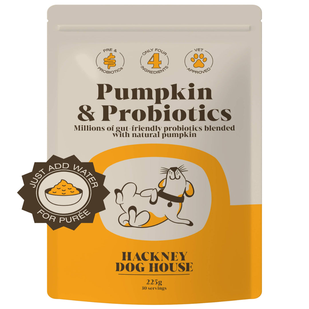 Pumpkin & Probiotic Powder for dogs sprinkled over food, showcasing its easy use as a digestive health supplement.