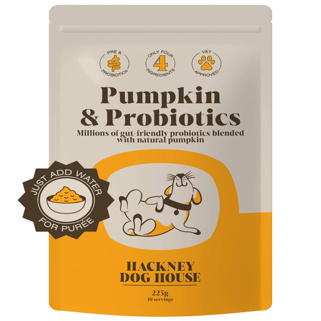 Pumpkin & Probiotic Powder for dogs sprinkled over food, showcasing its easy use as a digestive health supplement.