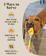 Close-up of a dog enjoying a meal enhanced with Pumpkin & Probiotic Powder, promoting relief from itchy skin and diarrhoea.