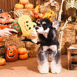 Howloween Night Scarecrow Dog Plush Toy 🎃