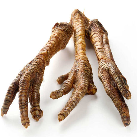 Natural turkey feet dog chews – hard texture and long-lasting treat.