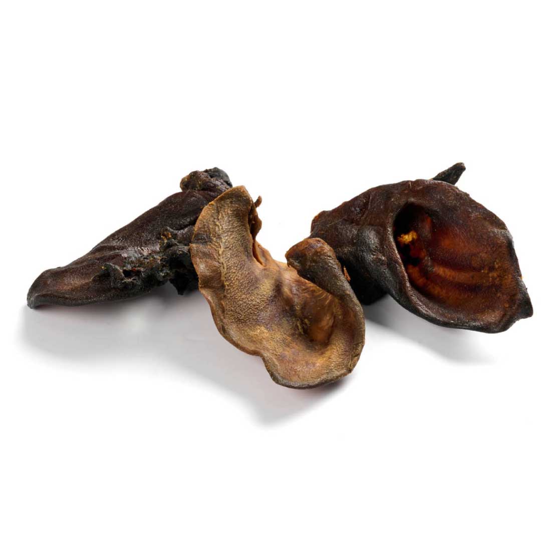 Wild Boar Ear Dog Chews – Long-Lasting & All-Natural