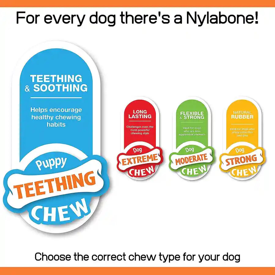 Nylabone Puppy Dino Dental Chew - Gentle Chew for Teething Puppies