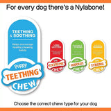 Nylabone Puppy Dino Dental Chew - Gentle Chew for Teething Puppies