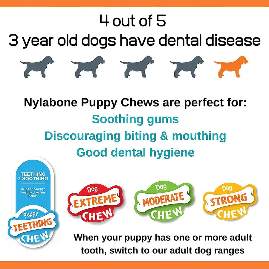 Nylabone Puppy Dino Dental Chew - Gentle Chew for Teething Puppies