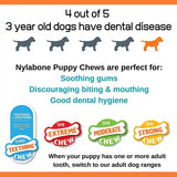 Nylabone Puppy Dino Dental Chew - Gentle Chew for Teething Puppies