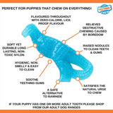 Nylabone Puppy Dino Dental Chew - Gentle Chew for Teething Puppies