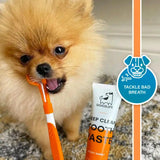 Dogslife Dental Care Kit with Triple Head Toothbrush and Toothpaste - BETTY & BUTCH®