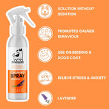 Dogslife Lavender Scented Dog Calming Spray - Relieves Stress & Anxiety - BETTY & BUTCH®