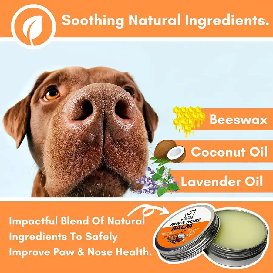 Dogslife Paw and Nose Balm with Organic Natural Ingredients - BETTY & BUTCH®