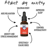 Dorwest Valerian Compound Dog Supplement for Stress and Anxiety - BETTY & BUTCH®