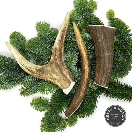 Durable Deer Antler Dog Chew - Good for Dog Dental Health and Care - BETTY & BUTCH®