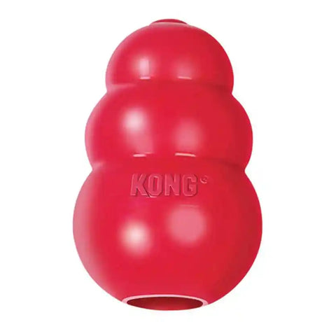 KONG Classic Brain Training Dog Enrichment Toy - Stuff with Treats - BETTY & BUTCH®