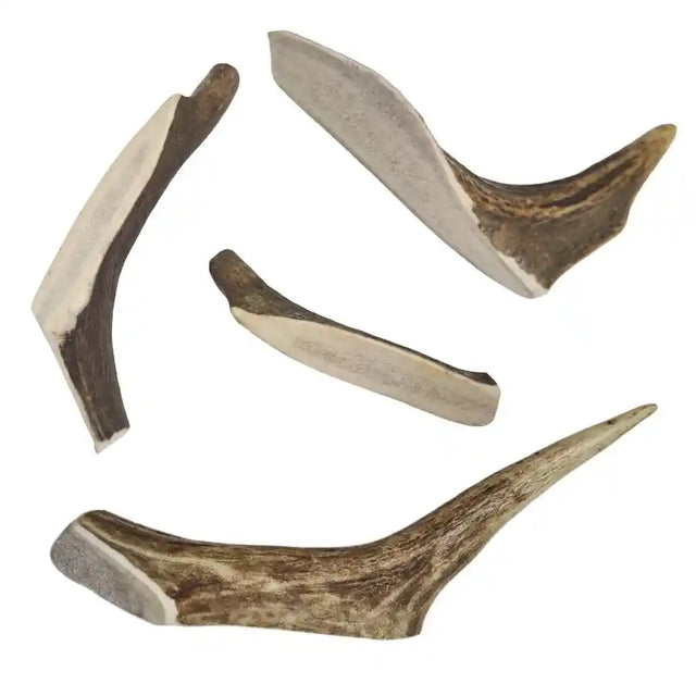 Red Deer Antler Chew for Dogs - Split for Dog Dental Health and Care - BETTY & BUTCH®