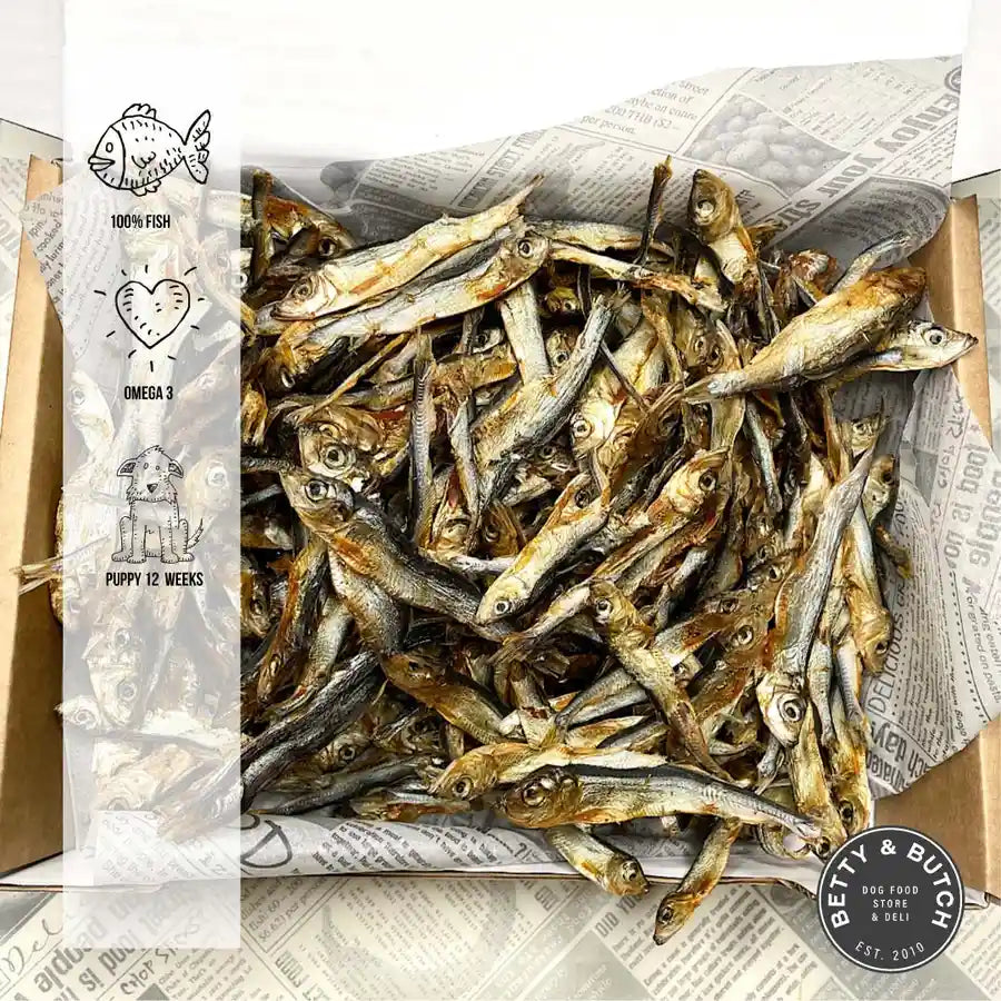 Sprat Box­­™ Premium Baltic Sprats for Dogs -  100% Fish Dog Food - BETTY & BUTCH®